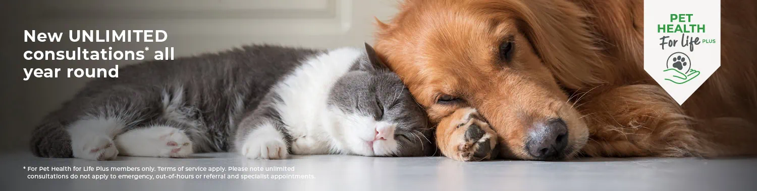 Pet Health for life | Boundary Vets