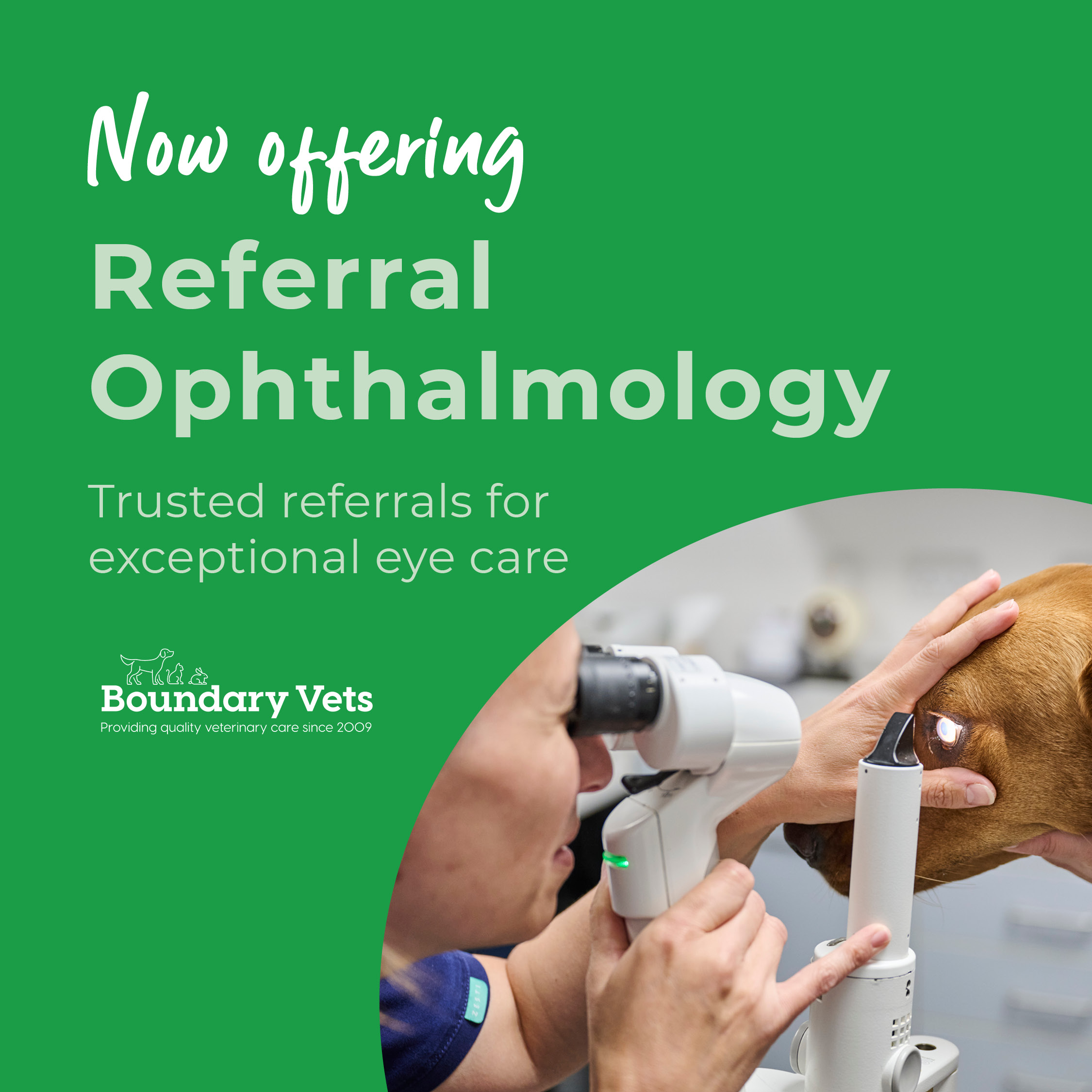 PF1 Boundary Ortho Social Tiles