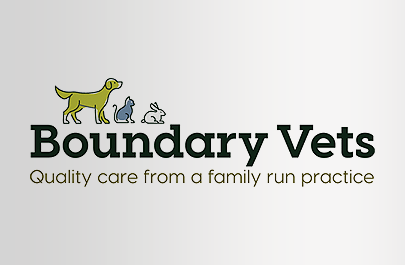 Boundary Vets services update