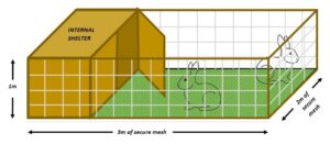 Rabbit space requirements from hutch