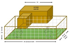 Rabbit space requirements