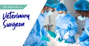 Veterinary Surgeon Banner