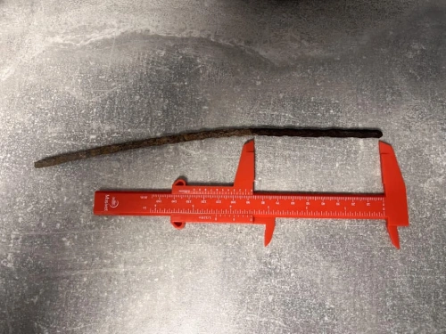9 inch nail goes through dogs foot while on a walk in abingdon - boundary vets