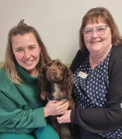 boundary vets in abingdon are a dog friendly accredited vet practice