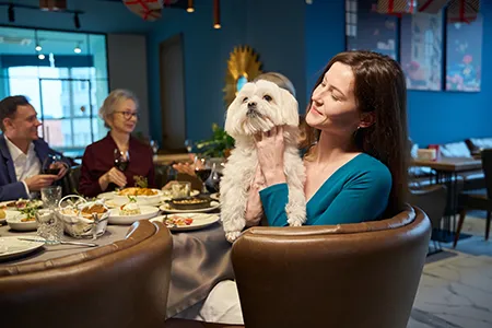 taking-dogs-to-a-pub