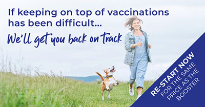 The importance of vaccinations