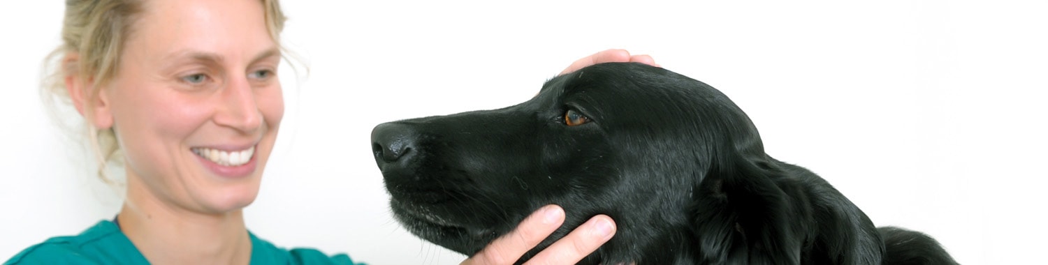 Nurse Clinics | Pet Owner Advice | Boundary Vets