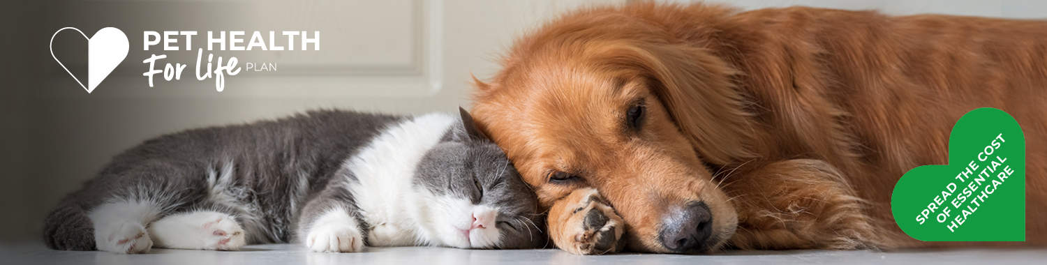 Pet Health for life | Boundary Vets 