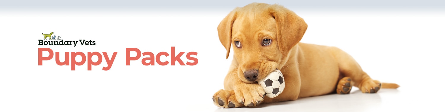 puppy pack vets