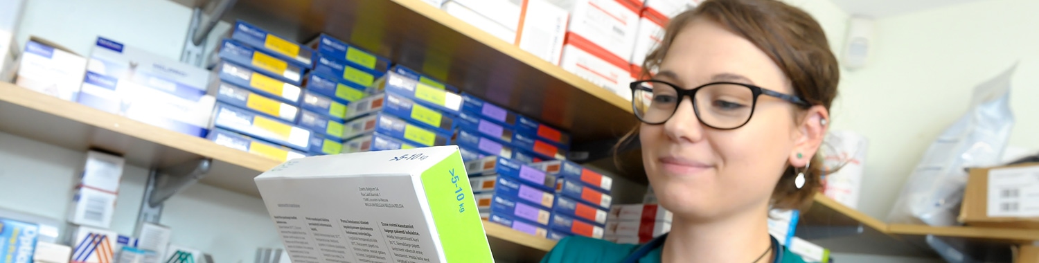 Repeat Prescription Service for Pets | Boundary Vets - Page 1