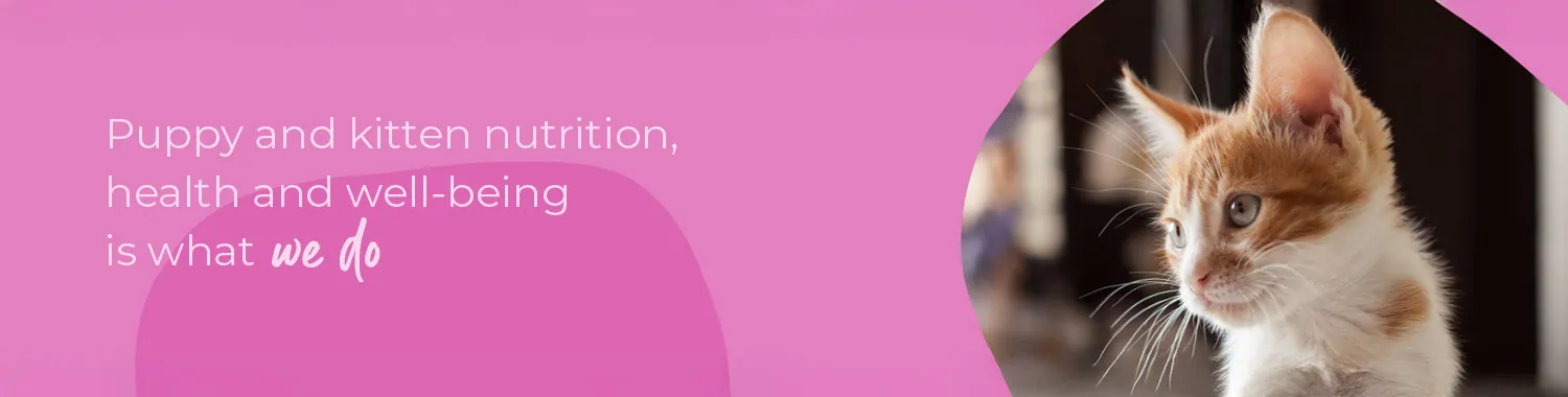 Start of life for your Puppy or Kitten | Boundary Vets