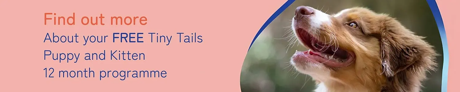 Vets in Abingdon | Vets Near Me | Boundary Vets