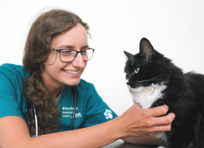 View our Boundary Vets services