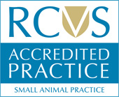 rcvs accredited Small Animal Practice