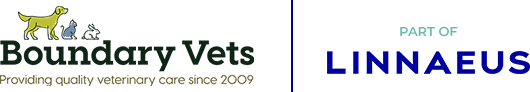 Boundary Vets Logo