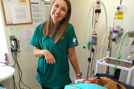 Family fun day at Boundary Vets in 2019