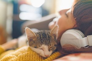 Happiness day-cat and owner