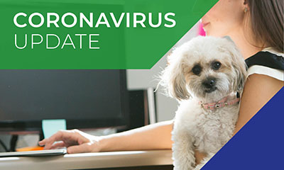 Coronvirus Update Boundary vets