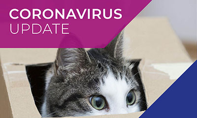Coronavirus Update
