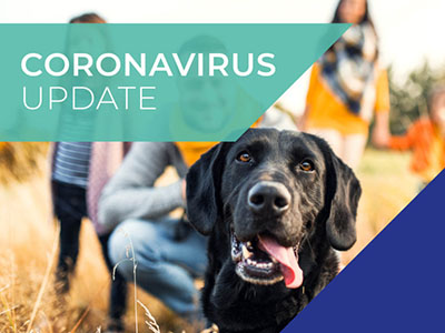 Boundary Vets COVID-19 (coronavirus) 1 April update