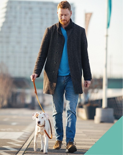 Making your dog walk safe