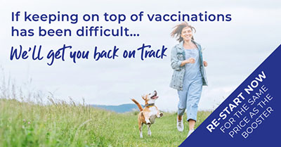 Pet Vaccination-campaign