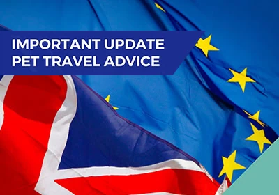 Pet Travel Update infographic