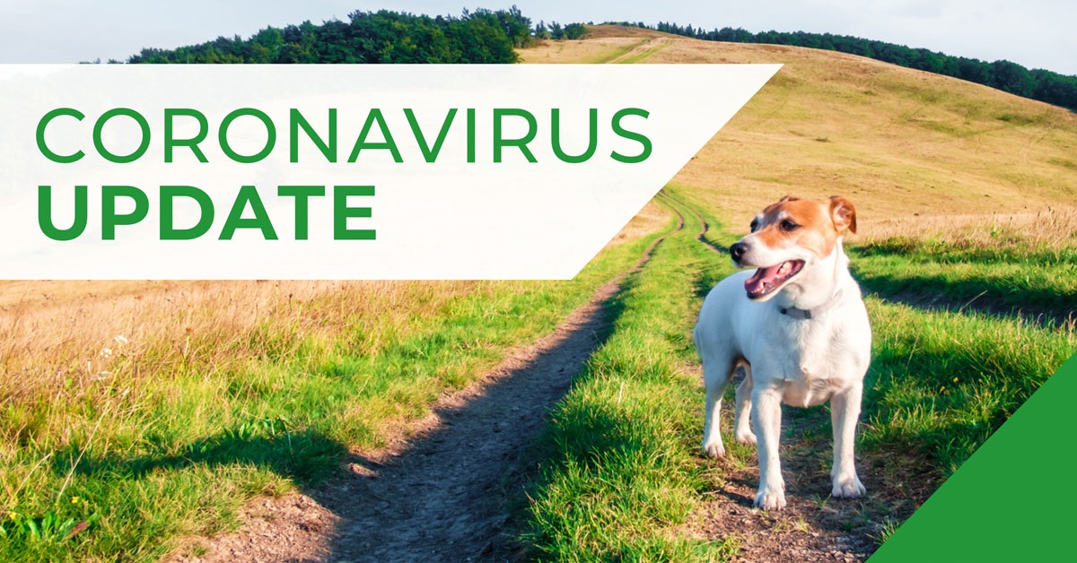 Boundary vets Coronavirus Update
