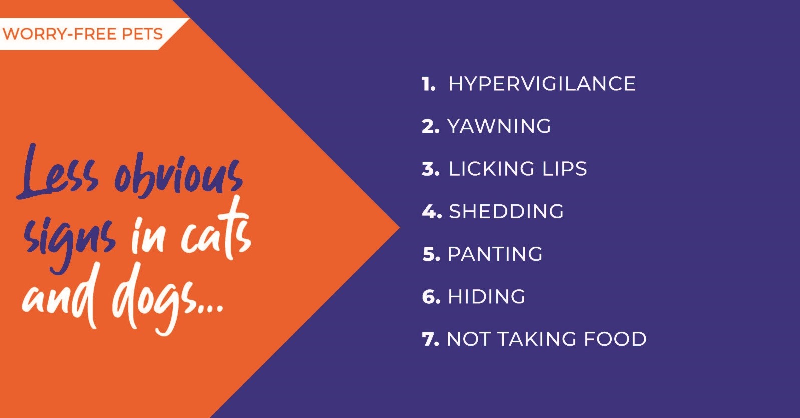 Less obvious signs of anxiety in cats and dogs flyer