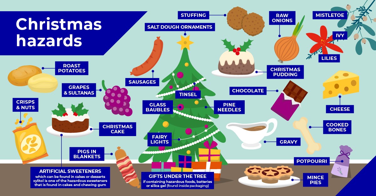 Christmas hazards for pets