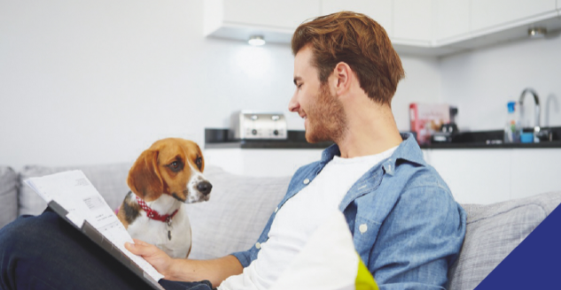 The Importance of pet insurance