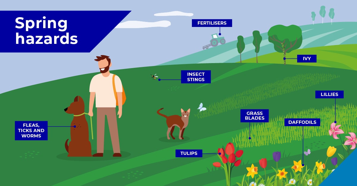 Spring Hazards for pets