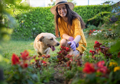 A dog and woman looking at plants