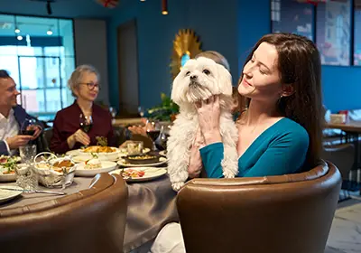 thumb-taking-dogs-to-a-pub